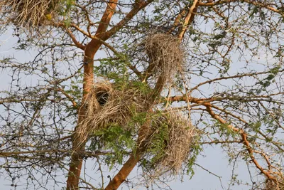 DSC_4120 (Large).JPG